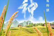 辽宁芒种节气小知识来了 夏种作物都有什么？